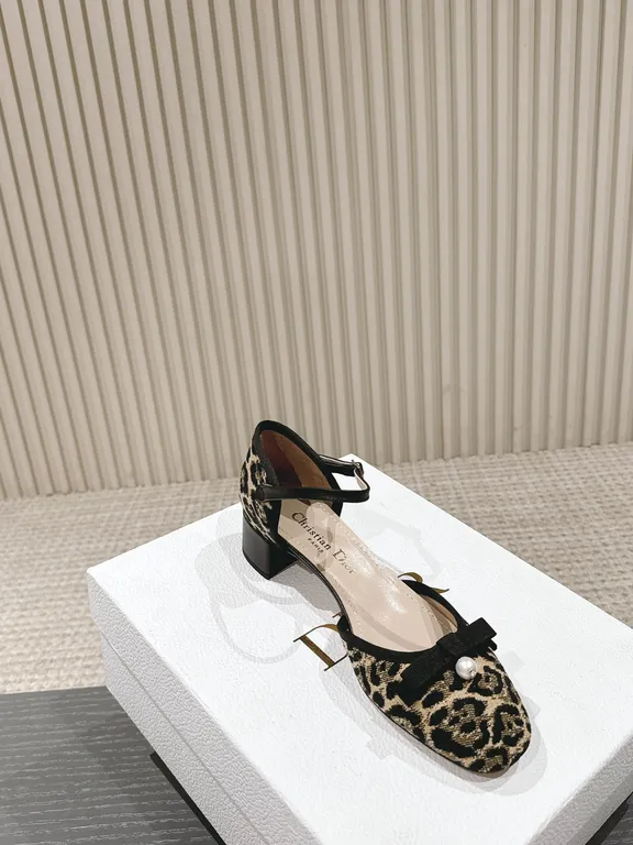 Dior Shoe 